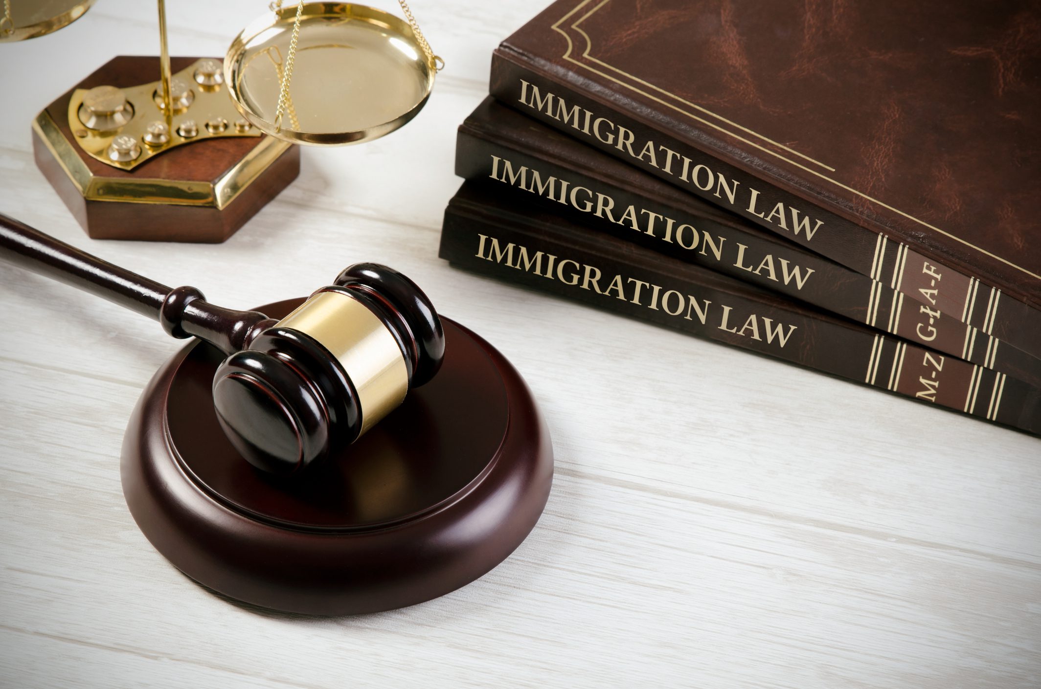 Gavel, scales, and immigration law books.